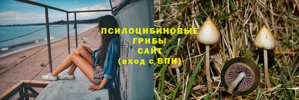 соль ск Бронницы