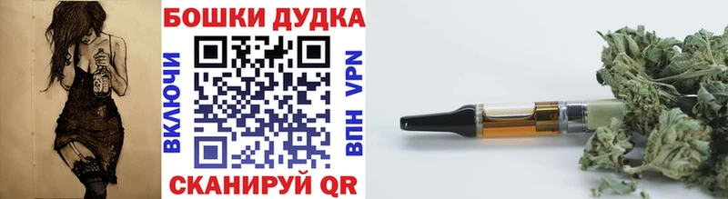 Купить закладки  Козловка  Бошки марихуана планчик 